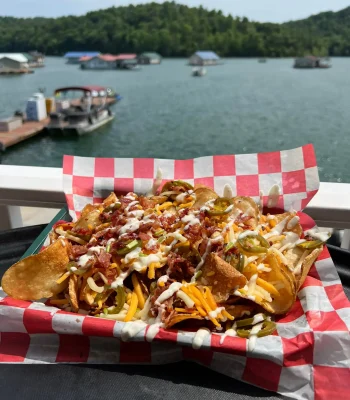 Nachos copy